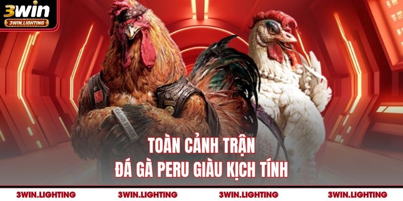 Toàn cảnh trận đá gà Peru giàu kịch tính